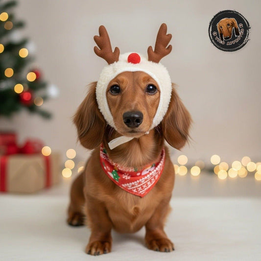 SantaPaw - Weihnachts-Mützen-Set für Hunde