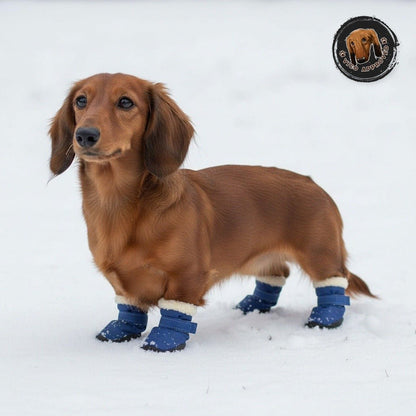 SnowStep - Winterstiefel für Hunde (4er-Set)