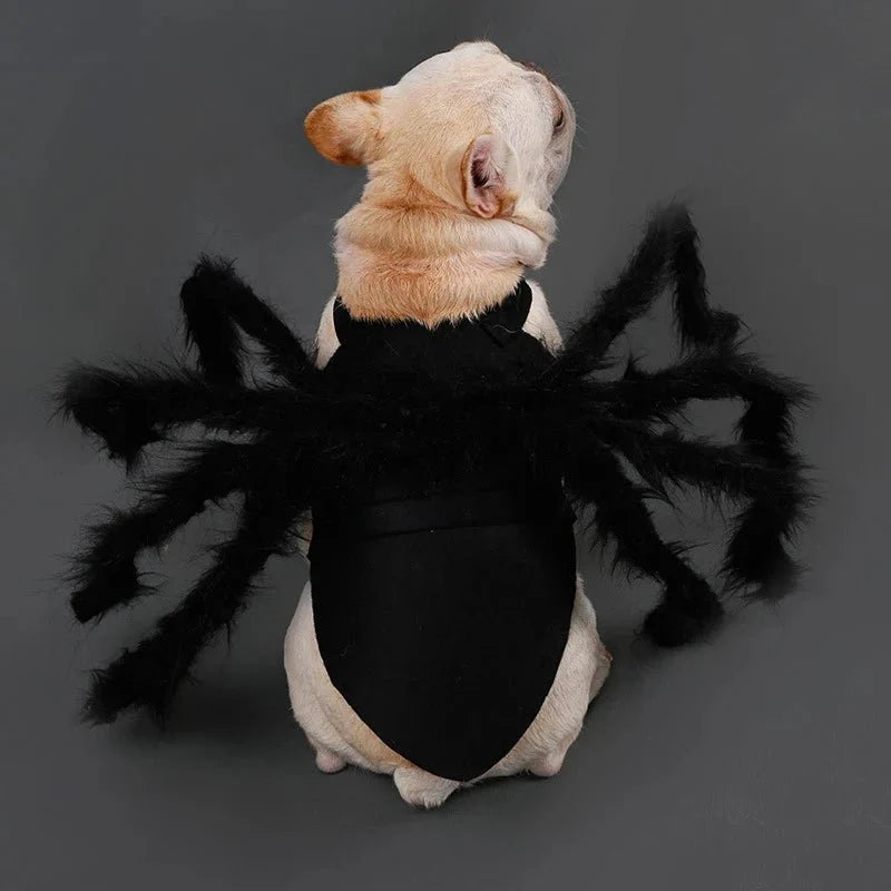 SpookySpider - Spinnenkostüm für Hunde