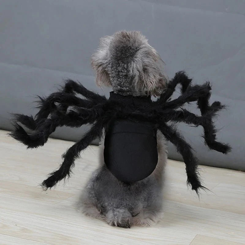 SpookySpider - Spinnenkostüm für Hunde