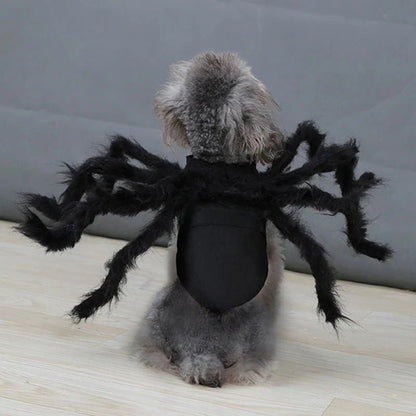 SpookySpider - Spinnenkostüm für Hunde