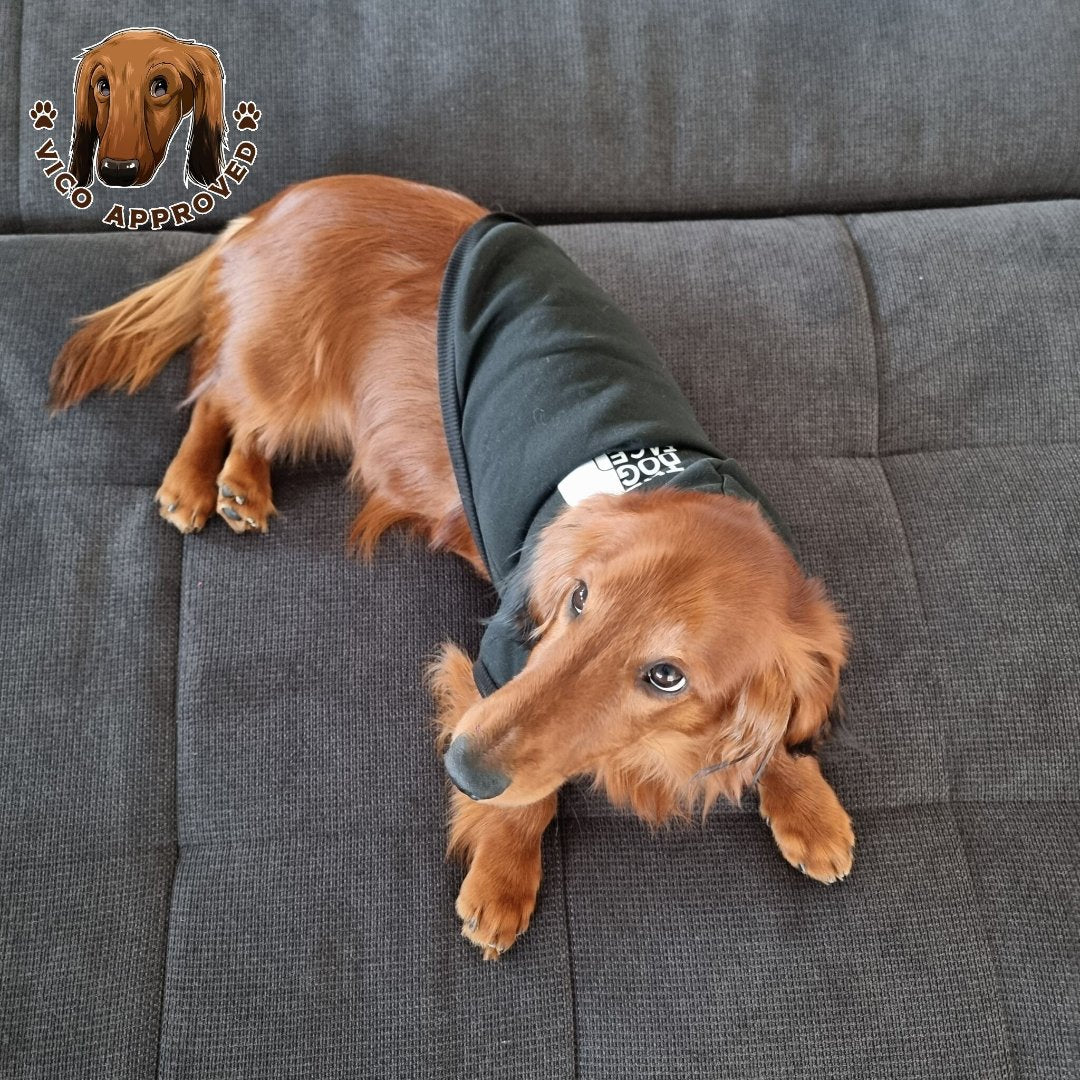 "The Dog Face" Pullover