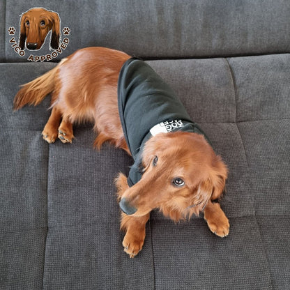 "The Dog Face" Pullover