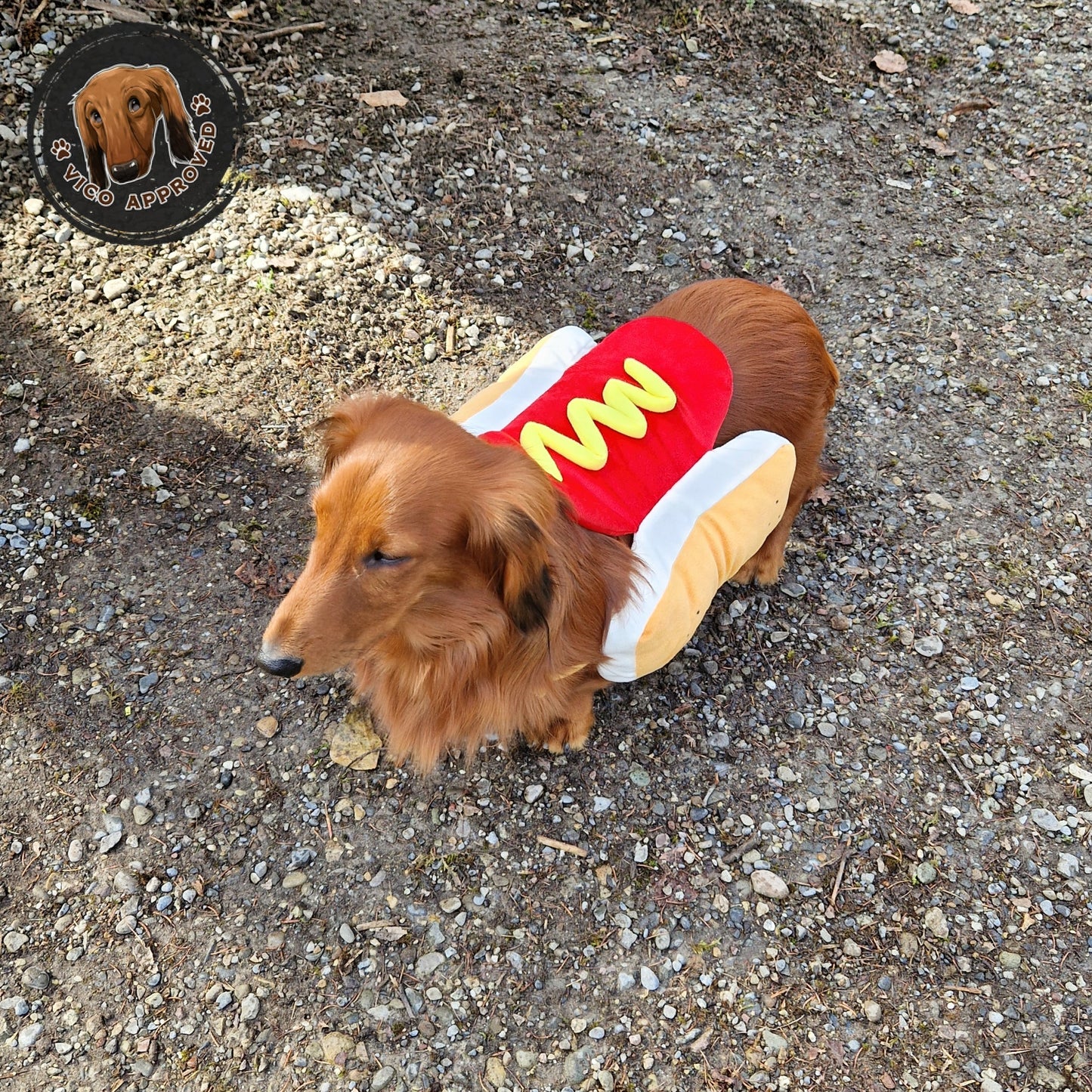 WienerWoof Hotdog Kostüm