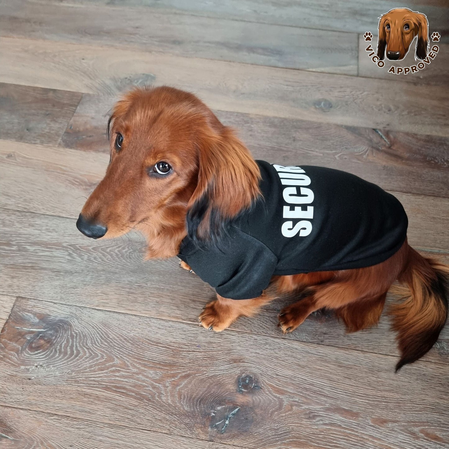 Hoodie für Hunde