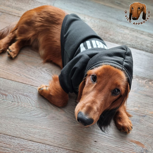 Hoodie für Hunde
