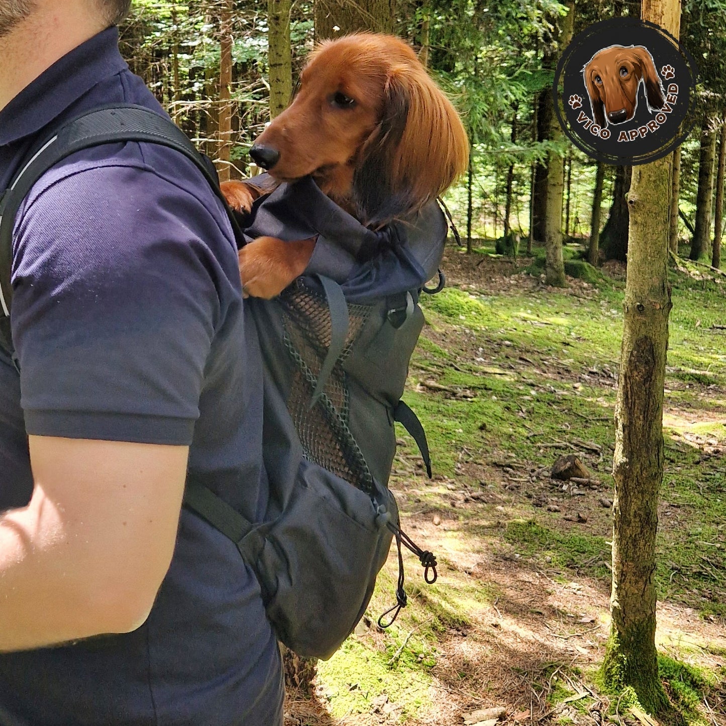 WuffCargo - Reise-Rucksack für deinen Hund
