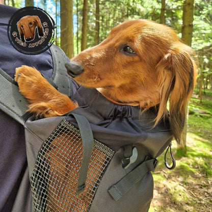 WuffCargo - Reise-Rucksack für deinen Hund